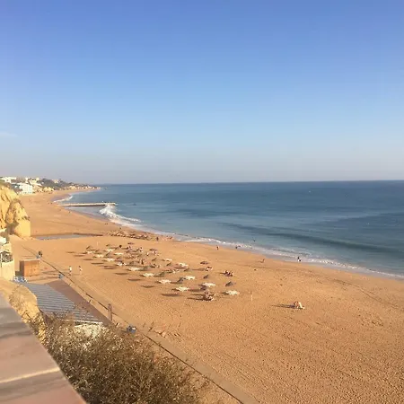 Cip-t1 Point 1 * אלבופיירה